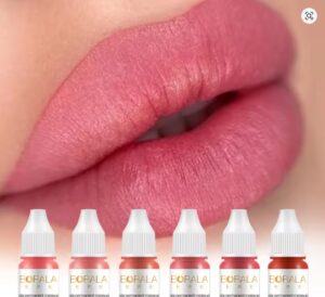 Read more about the article PMU Pigment Set Guide for Professional Cosmetic Tattoo Artists In 2026